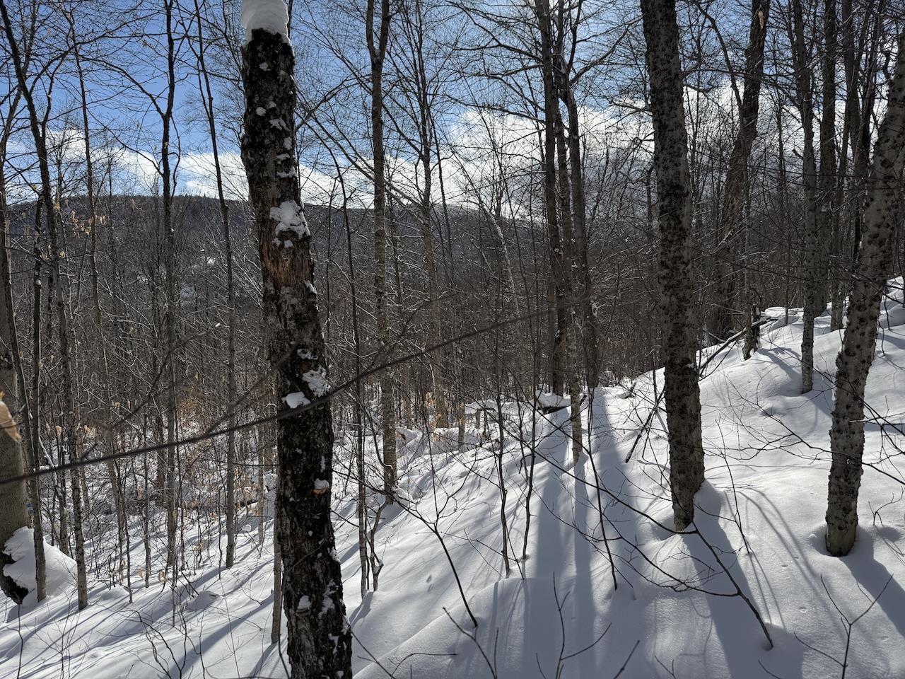 S-1 C Great Roaring Brook Road, Unit S1C Plymouth, VT 05056 - Photo 11 of 24