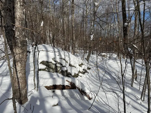 $115,000 | S-1 C Great Roaring Brook Road, Unit S1C, Plymouth, VT 05056