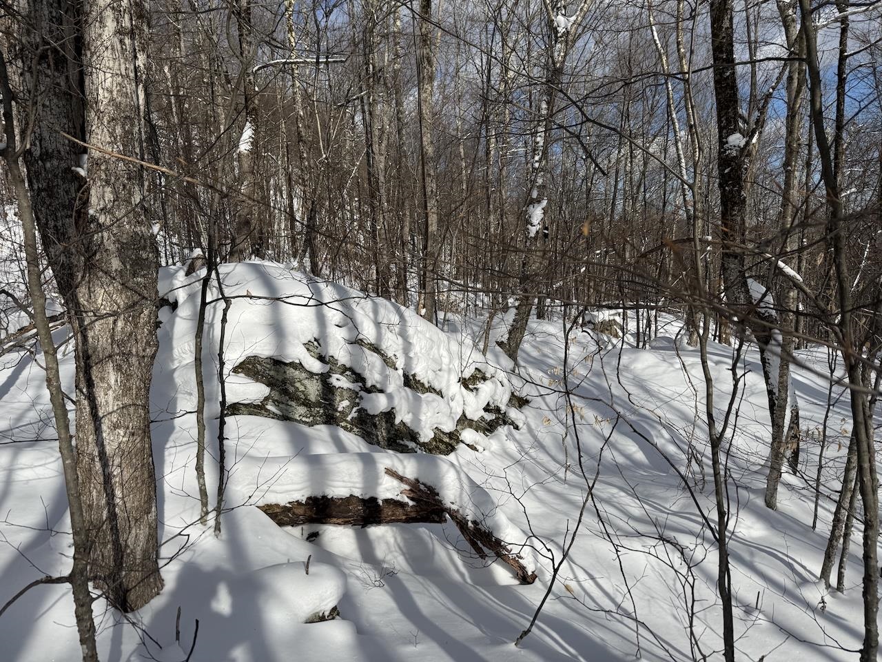S-1 C Great Roaring Brook Road, Unit S1C Plymouth, VT 05056 - Photo 12 of 24