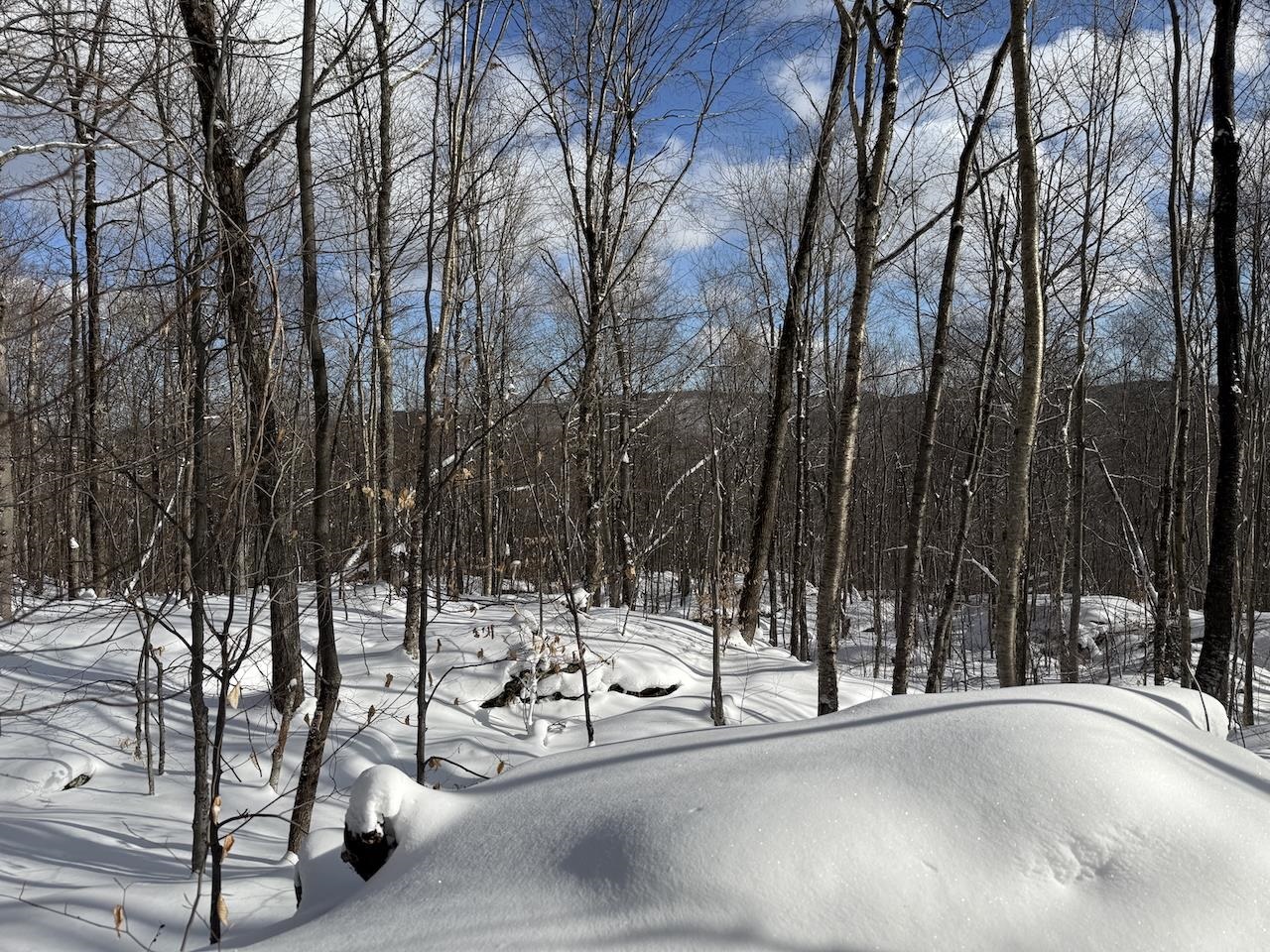 S-1 C Great Roaring Brook Road, Unit S1C Plymouth, VT 05056 - Photo 13 of 24