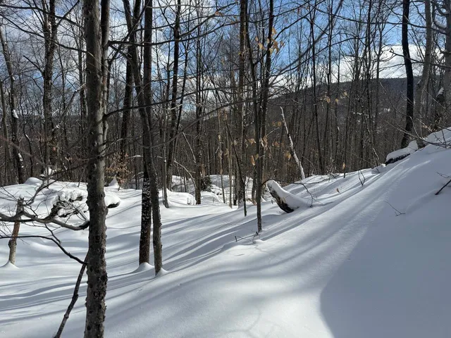 $115,000 | S-1 C Great Roaring Brook Road, Unit S1C, Plymouth, VT 05056