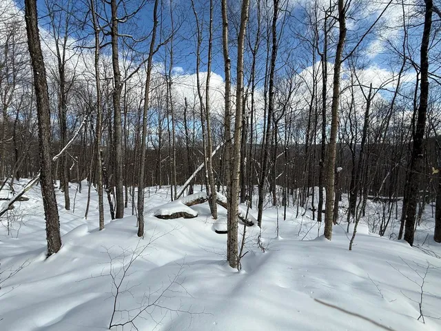 $115,000 | S-1 C Great Roaring Brook Road, Unit S1C, Plymouth, VT 05056