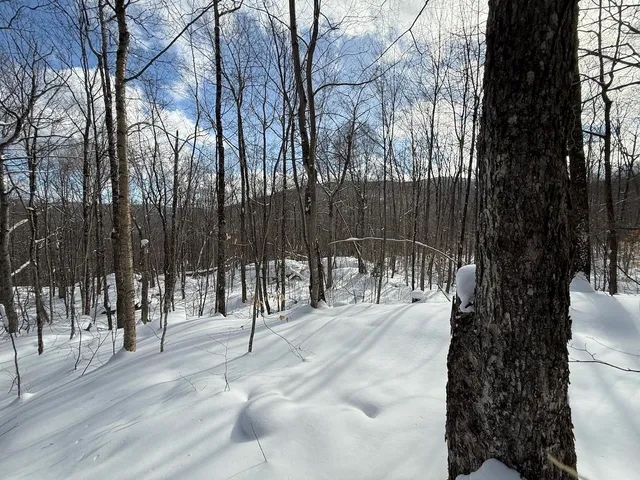 $115,000 | S-1 C Great Roaring Brook Road, Unit S1C, Plymouth, VT 05056