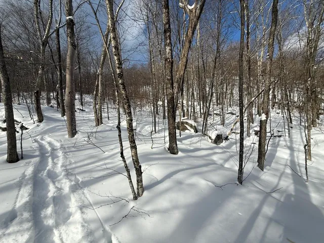 $115,000 | S-1 C Great Roaring Brook Road, Unit S1C, Plymouth, VT 05056