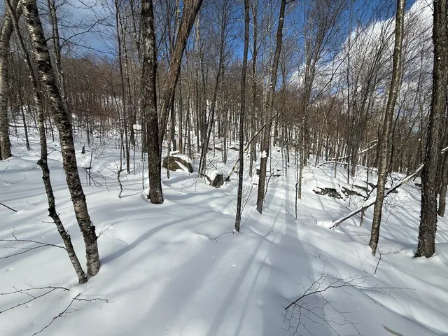 $115,000 | S-1 C Great Roaring Brook Road, Unit S1C, Plymouth, VT 05056