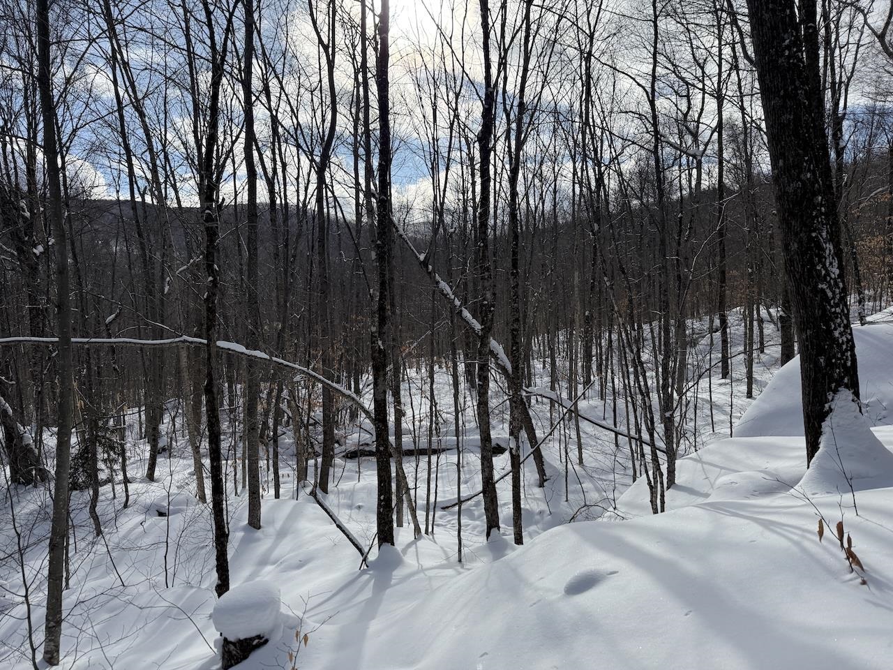 S-1 C Great Roaring Brook Road, Unit S1C Plymouth, VT 05056 - Photo 20 of 24