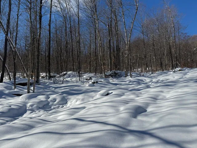 $115,000 | S-1 C Great Roaring Brook Road, Unit S1C, Plymouth, VT 05056