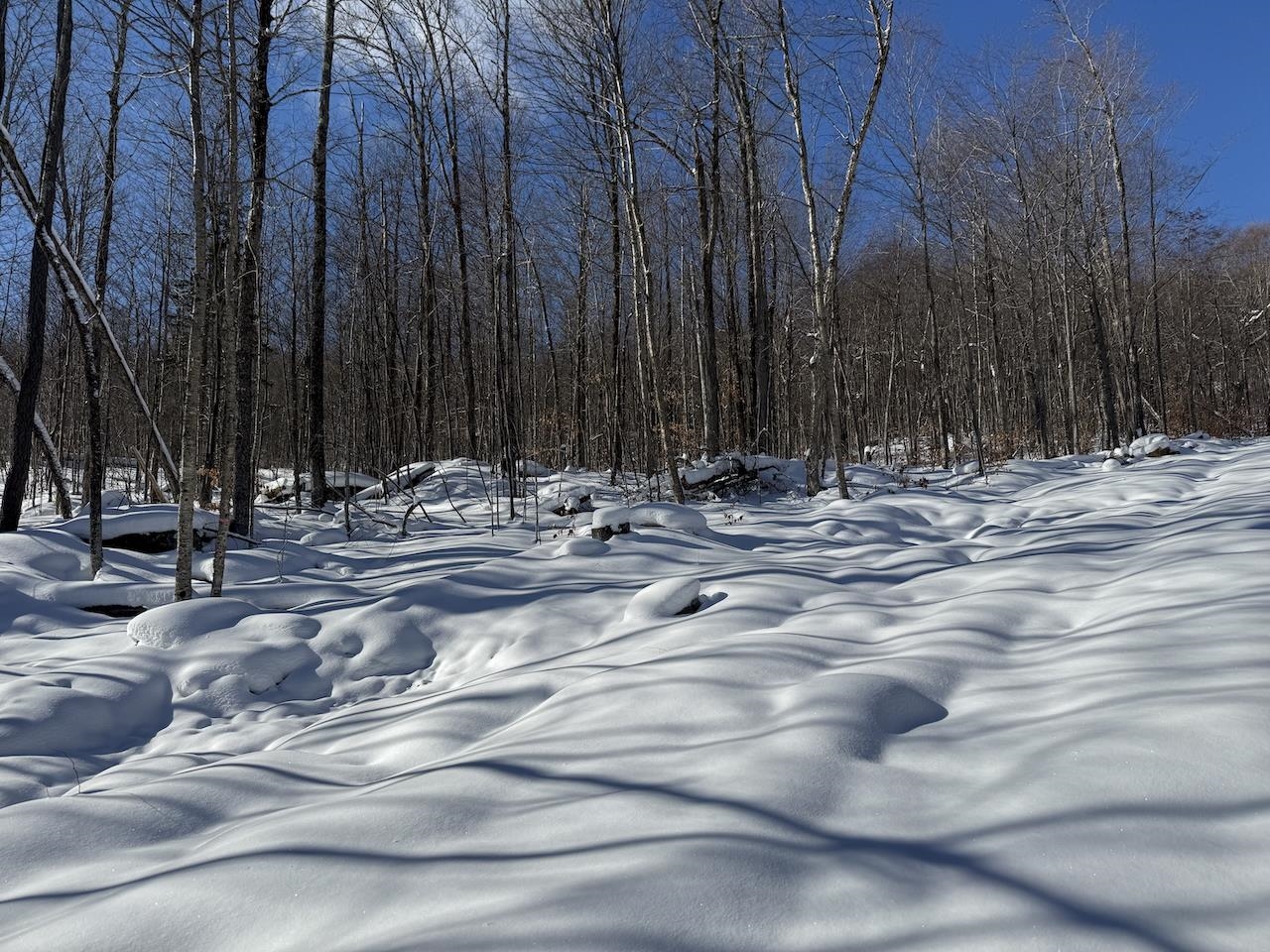 S-1 C Great Roaring Brook Road, Unit S1C Plymouth, VT 05056 - Photo 2 of 24