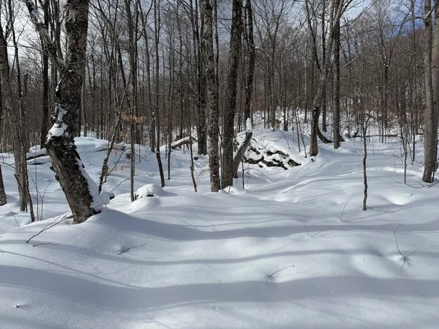 $115,000 | S-1 C Great Roaring Brook Road, Unit S1C, Plymouth, VT 05056