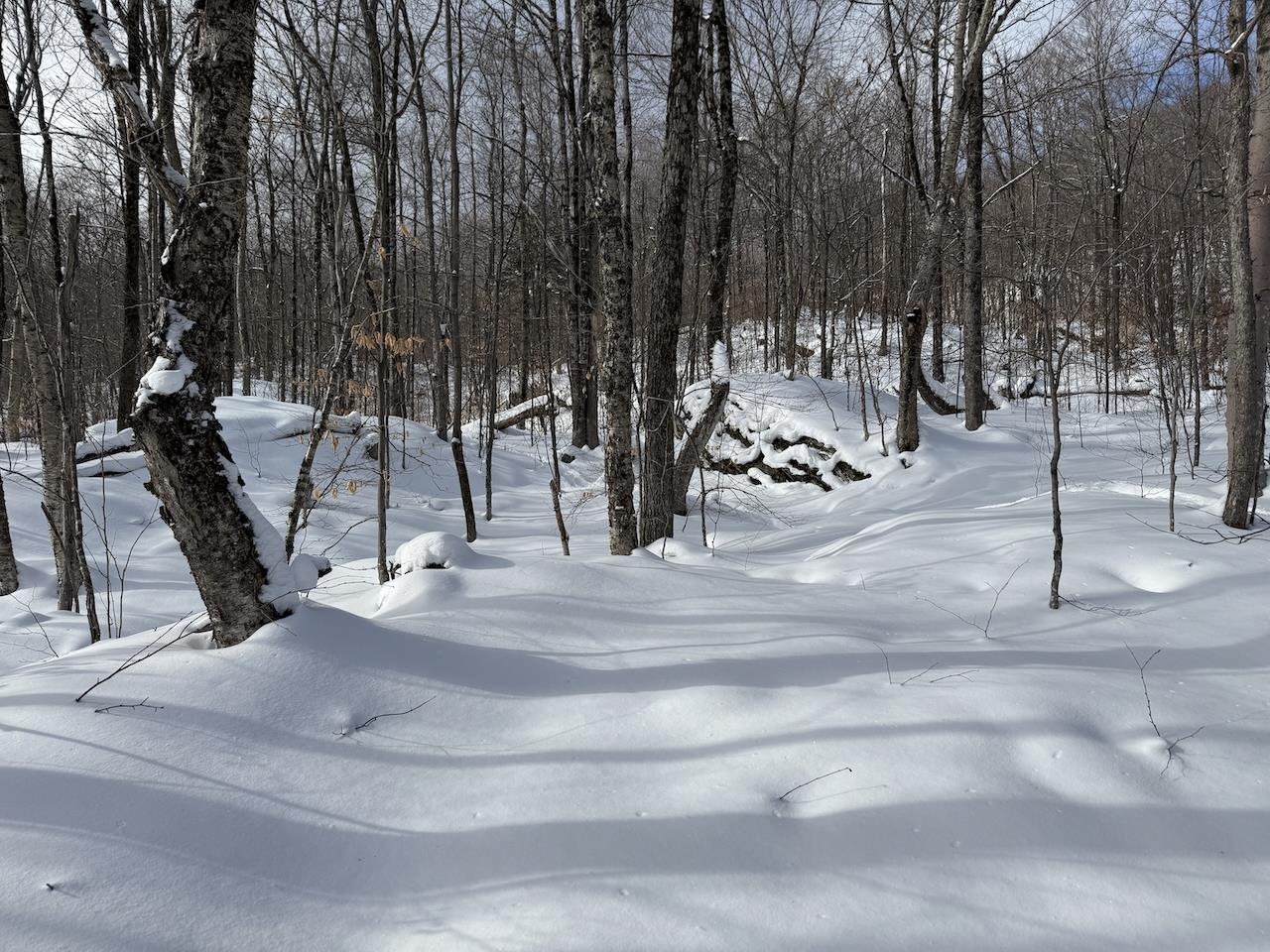 S-1 C Great Roaring Brook Road, Unit S1C Plymouth, VT 05056 - Photo 21 of 24