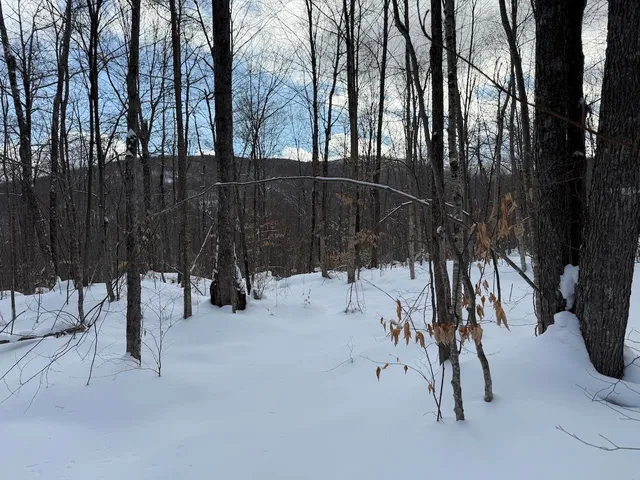 $115,000 | S-1 C Great Roaring Brook Road, Unit S1C, Plymouth, VT 05056