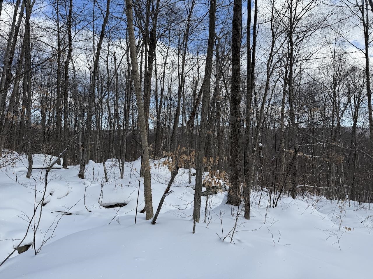 S-1 C Great Roaring Brook Road, Unit S1C Plymouth, VT 05056 - Photo 23 of 24
