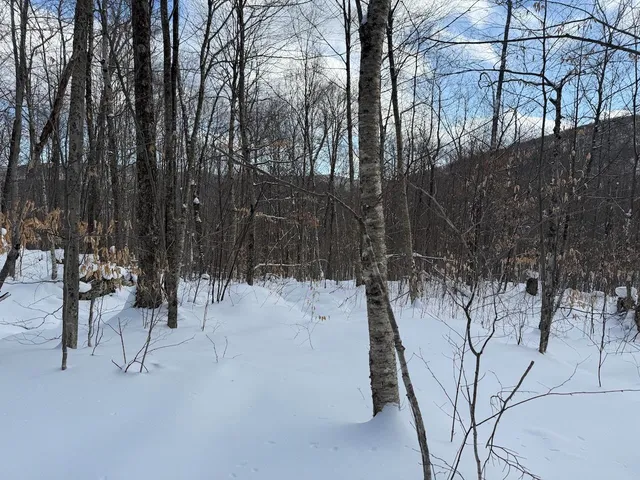 $115,000 | S-1 C Great Roaring Brook Road, Unit S1C, Plymouth, VT 05056