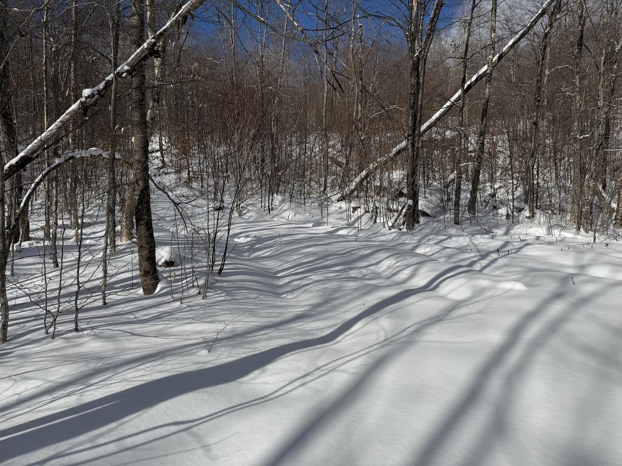 S-1 C Great Roaring Brook Road, Unit S1C Plymouth, VT 05056 - Photo 3 of 24