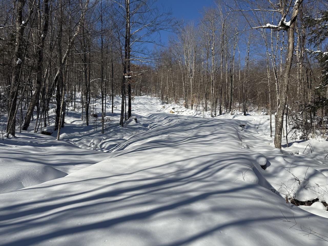 S-1 C Great Roaring Brook Road, Unit S1C Plymouth, VT 05056 - Photo 4 of 24