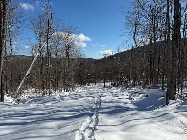 $115,000 | S-1 C Great Roaring Brook Road, Unit S1C, Plymouth, VT 05056