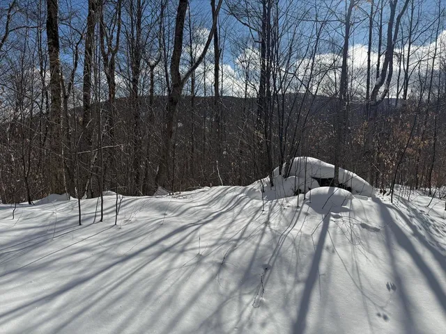 $115,000 | S-1 C Great Roaring Brook Road, Unit S1C, Plymouth, VT 05056