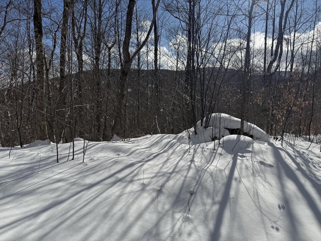 S-1 C Great Roaring Brook Road, Unit S1C Plymouth, VT 05056 - Photo 6 of 24