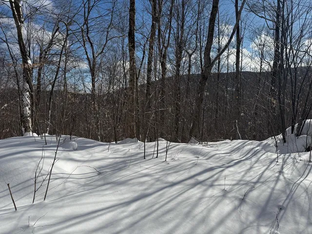 $115,000 | S-1 C Great Roaring Brook Road, Unit S1C, Plymouth, VT 05056