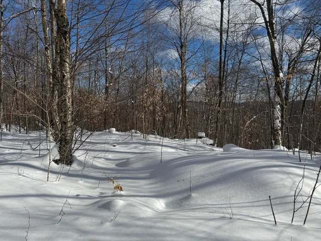 $115,000 | S-1 C Great Roaring Brook Road, Unit S1C, Plymouth, VT 05056