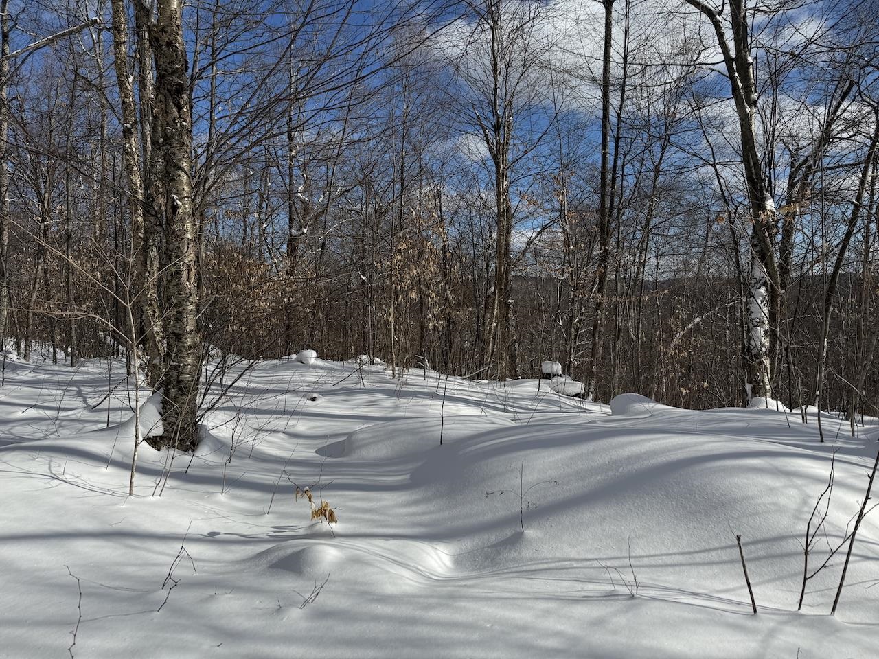 S-1 C Great Roaring Brook Road, Unit S1C Plymouth, VT 05056 - Photo 8 of 24