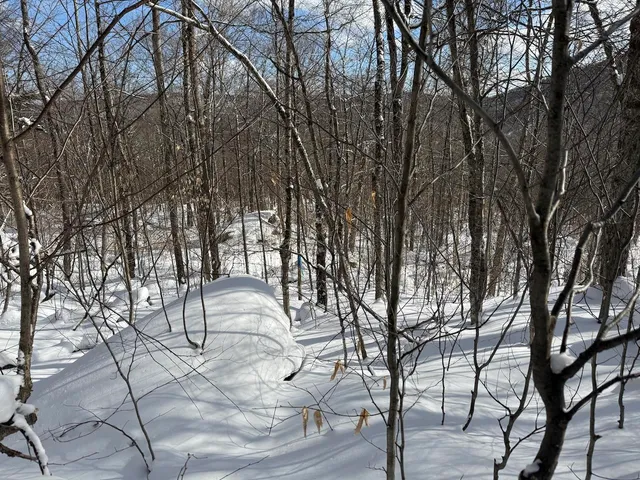 $115,000 | S-1 C Great Roaring Brook Road, Unit S1C, Plymouth, VT 05056