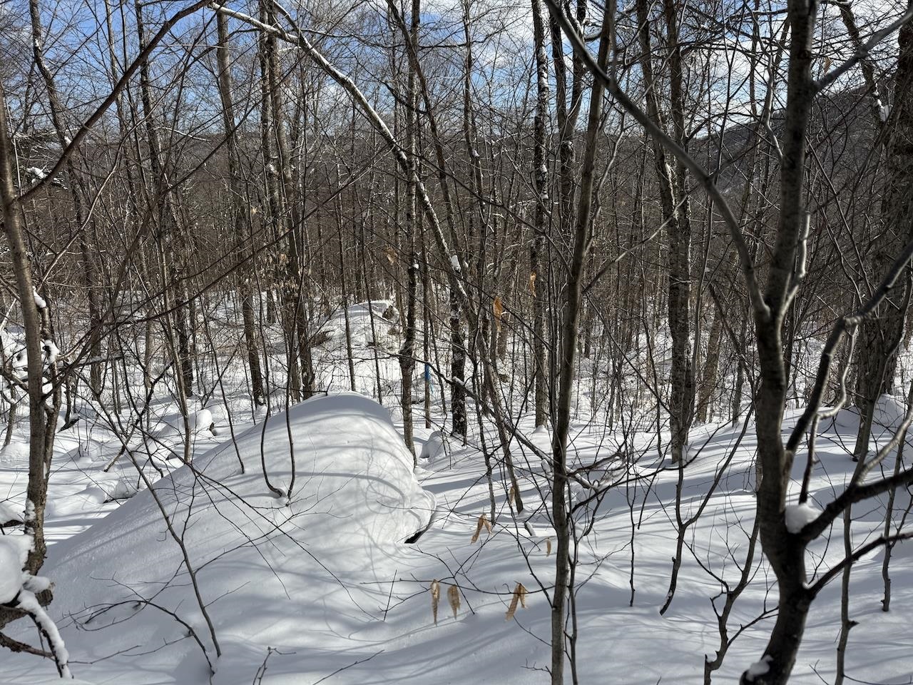S-1 C Great Roaring Brook Road, Unit S1C Plymouth, VT 05056 - Photo 9 of 24
