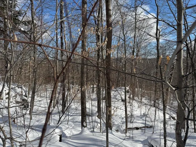 $115,000 | S-1 C Great Roaring Brook Road, Unit S1C, Plymouth, VT 05056