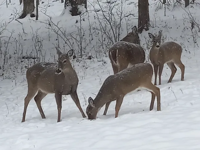 a view of a balcony with an outdoor space