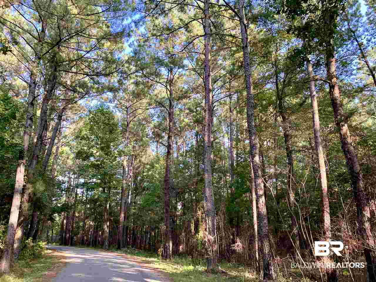 0 Holly Creek Road Stockton, AL 36579 - Photo 44 of 50