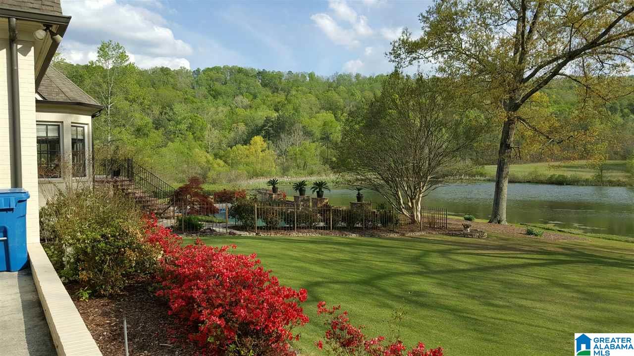 4004 Highway 132 Oneonta, AL 35121 - Photo 40 of 49