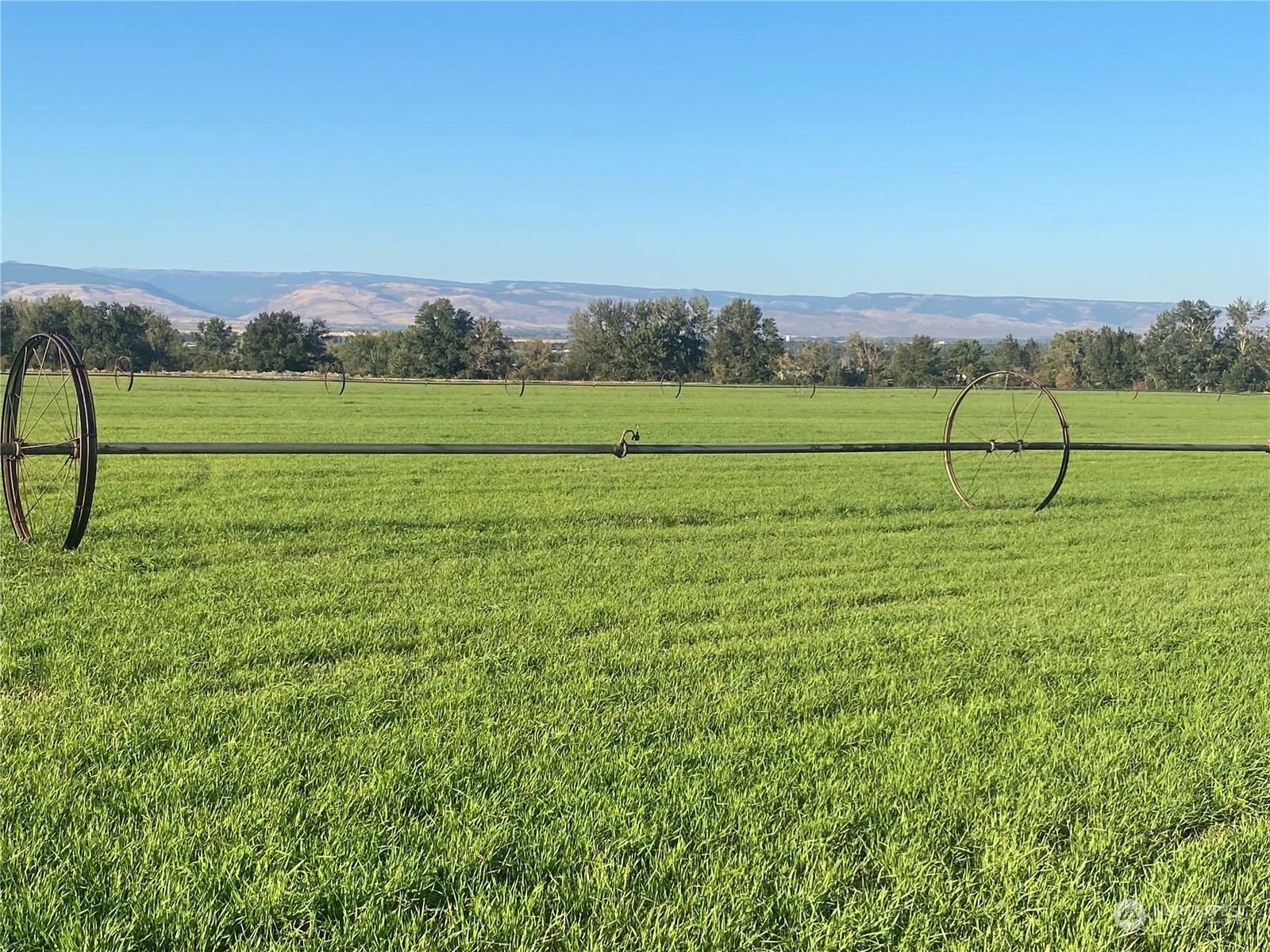 1660 Brown Road Ellensburg, WA 98926 - Photo 5 of 39 Gallery Image 5
