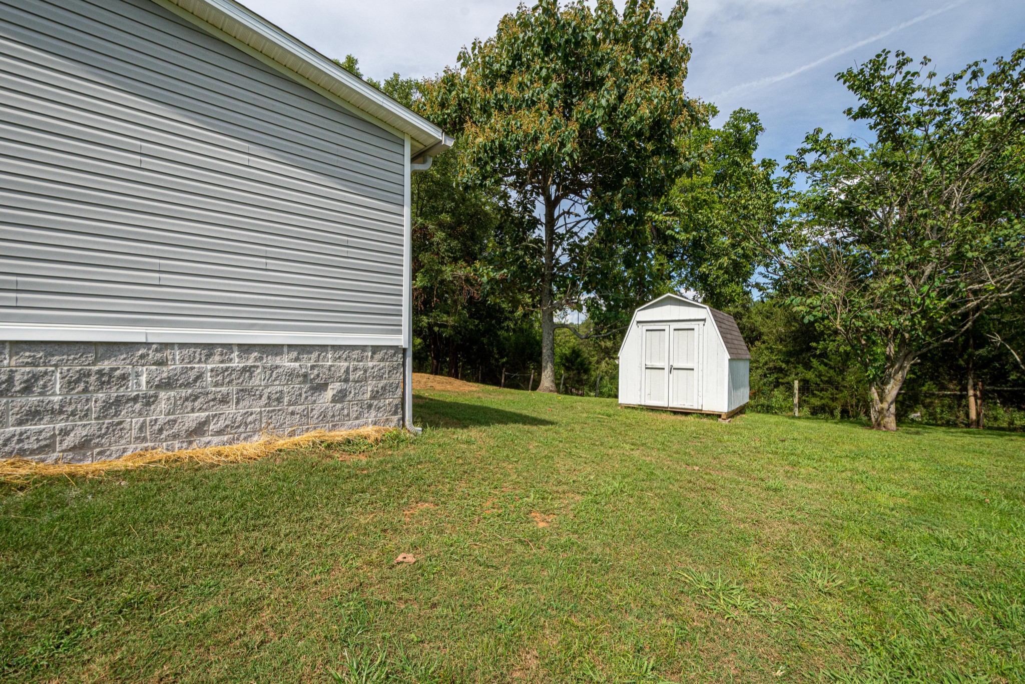 765 Crooked Hill Road Pulaski, TN 38478 - Photo 9 of 50 a view of a back yard with an tree