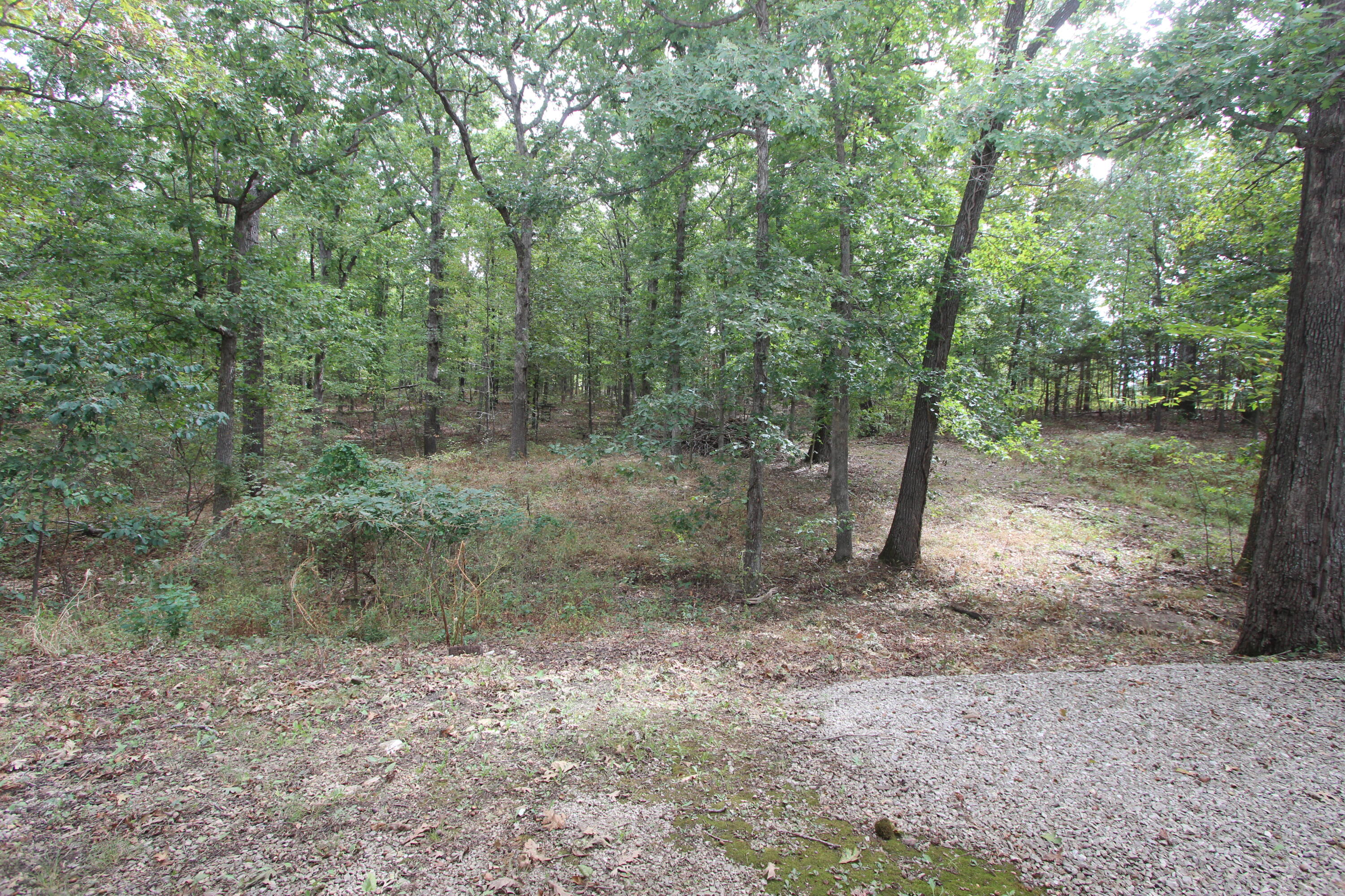 288 Pleasant View Road Seymour, MO 65746 - Photo 34 of 56 IMG_0859
