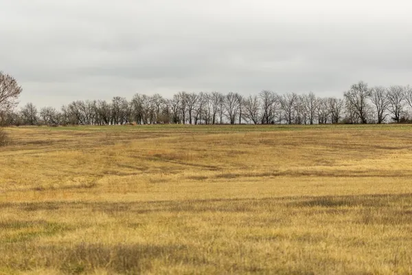 $600,000 | 0 South Old Drum Road, Garden City, MO 64747