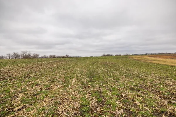 $600,000 | 0 South Old Drum Road, Garden City, MO 64747