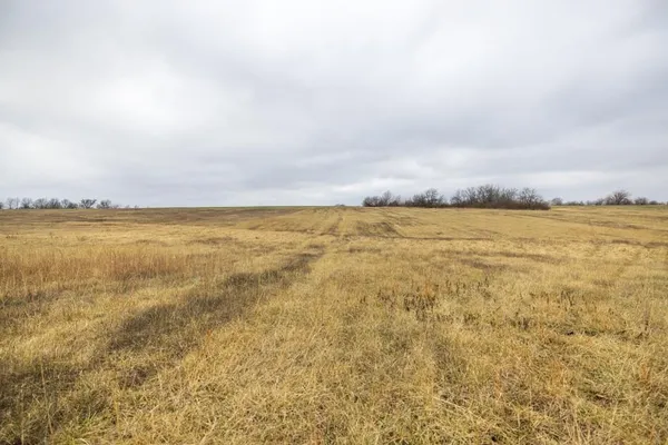 $600,000 | 0 South Old Drum Road, Garden City, MO 64747