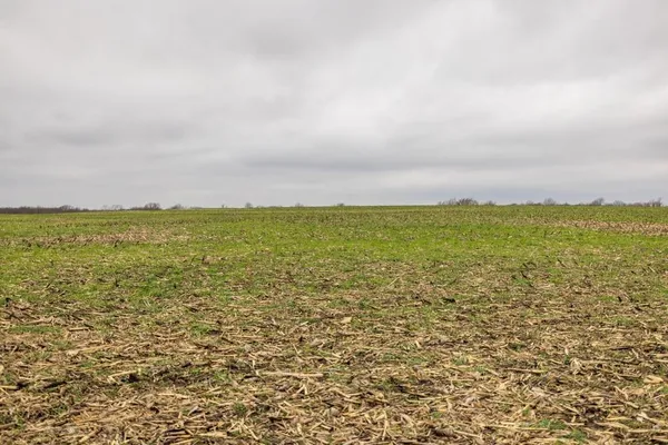 $600,000 | 0 South Old Drum Road, Garden City, MO 64747