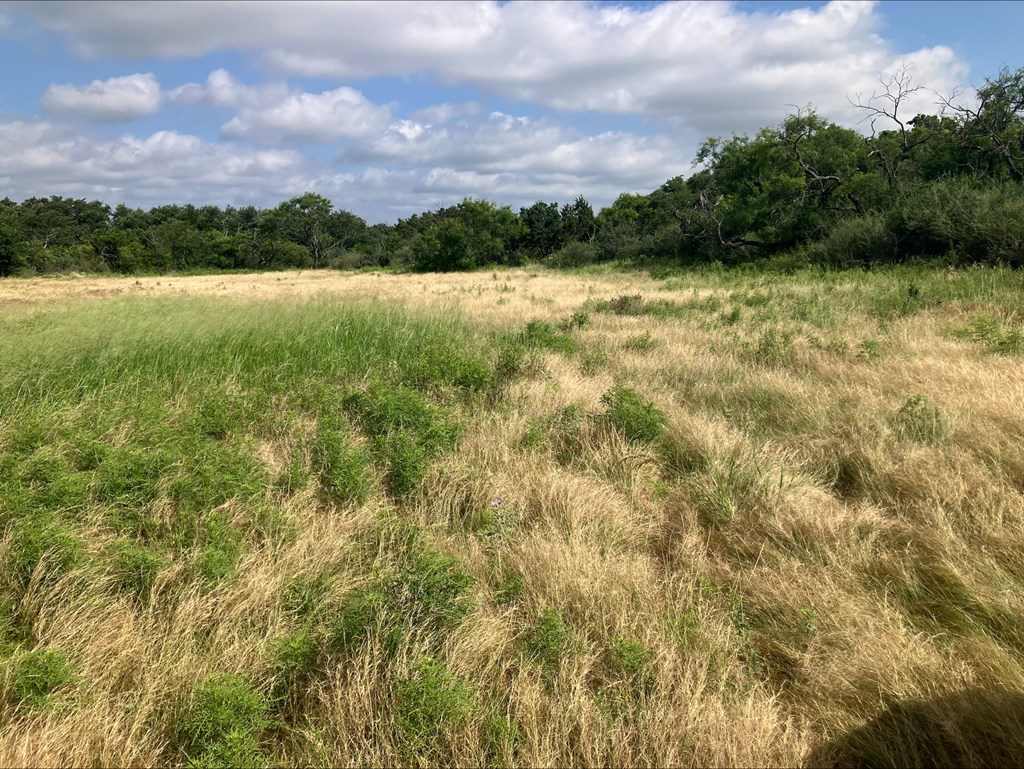 4605 West Ranch Road Mason, TX 76856 - Photo 18 of 26