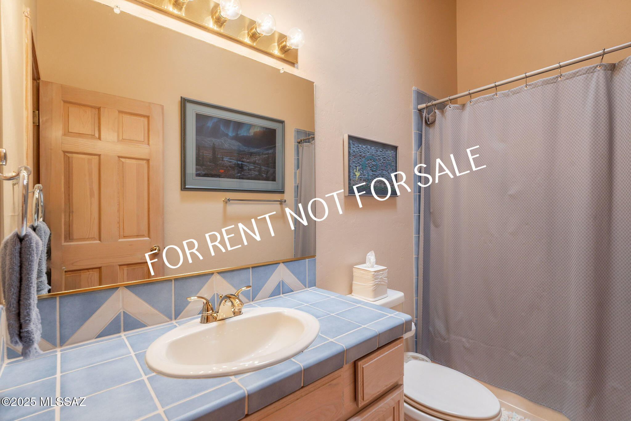 9876 North Ridge Shadow Place Tucson, AZ 85704 - Photo 39 of 48