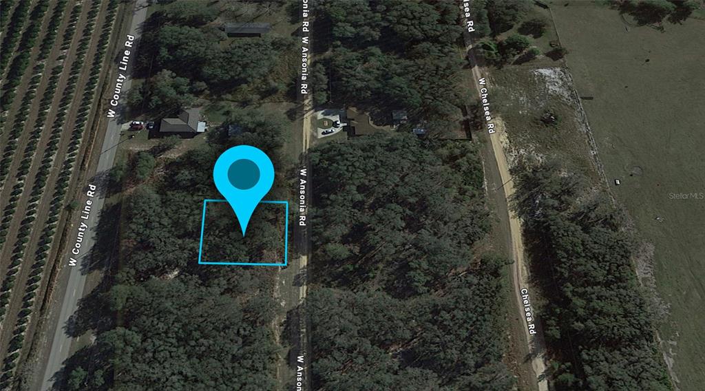 3180 West Ansonia Road Avon Park, FL 33825 - Photo 2 of 3 a aerial view of a house with a backyard space