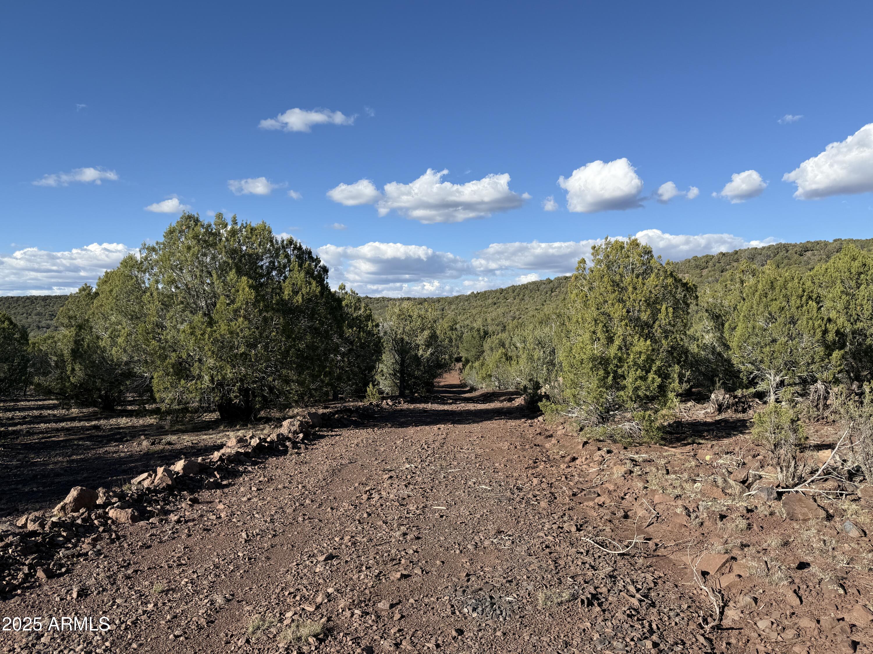 17375 Beale Wagon Road, Unit 458 AND 457 Williams, AZ 86046 - Photo 20 of 38 IMG_9802