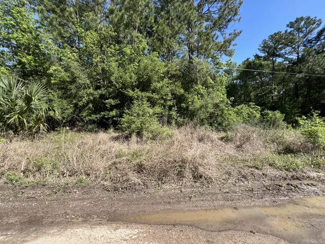 $39,999 | 0 Greenstill Street, Humble, TX 77346