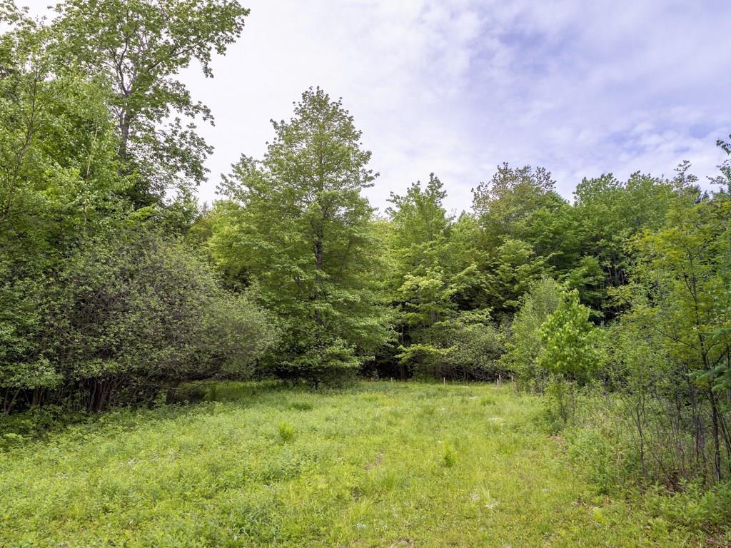 239 Tuttle Road Cumberland Center, ME 04021 - Photo 24 of 28 Photo