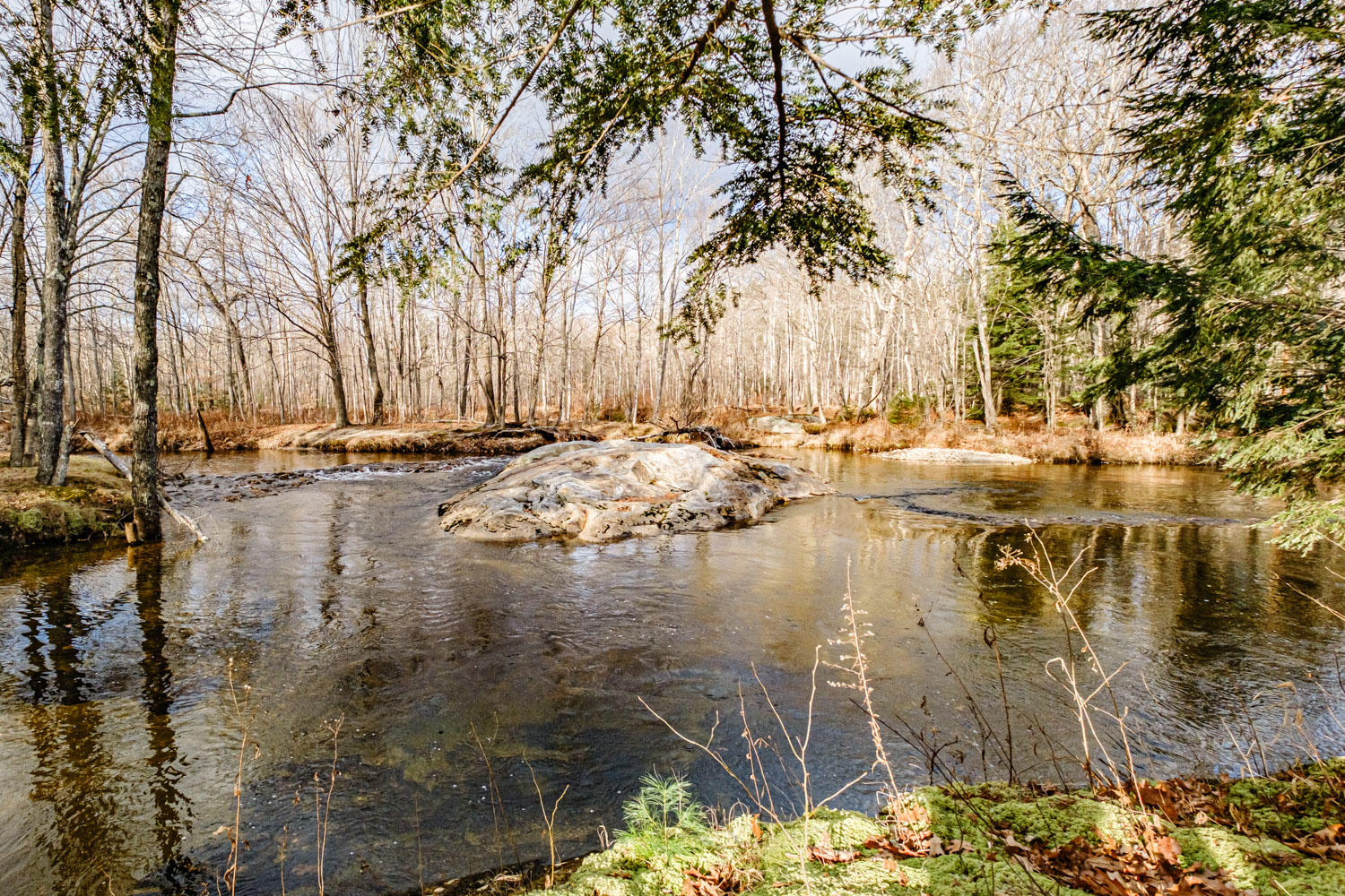 8 Deer Hill Road Stow, ME 04037 - Photo 15 of 45 20201118gp-64015