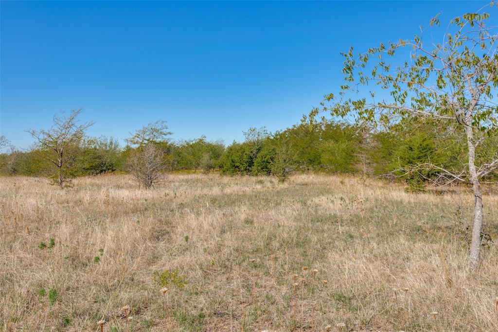 2735 County Road 2735 Decatur, TX 76234 - Photo 17 of 18 a view of a dry yard with trees in the background
