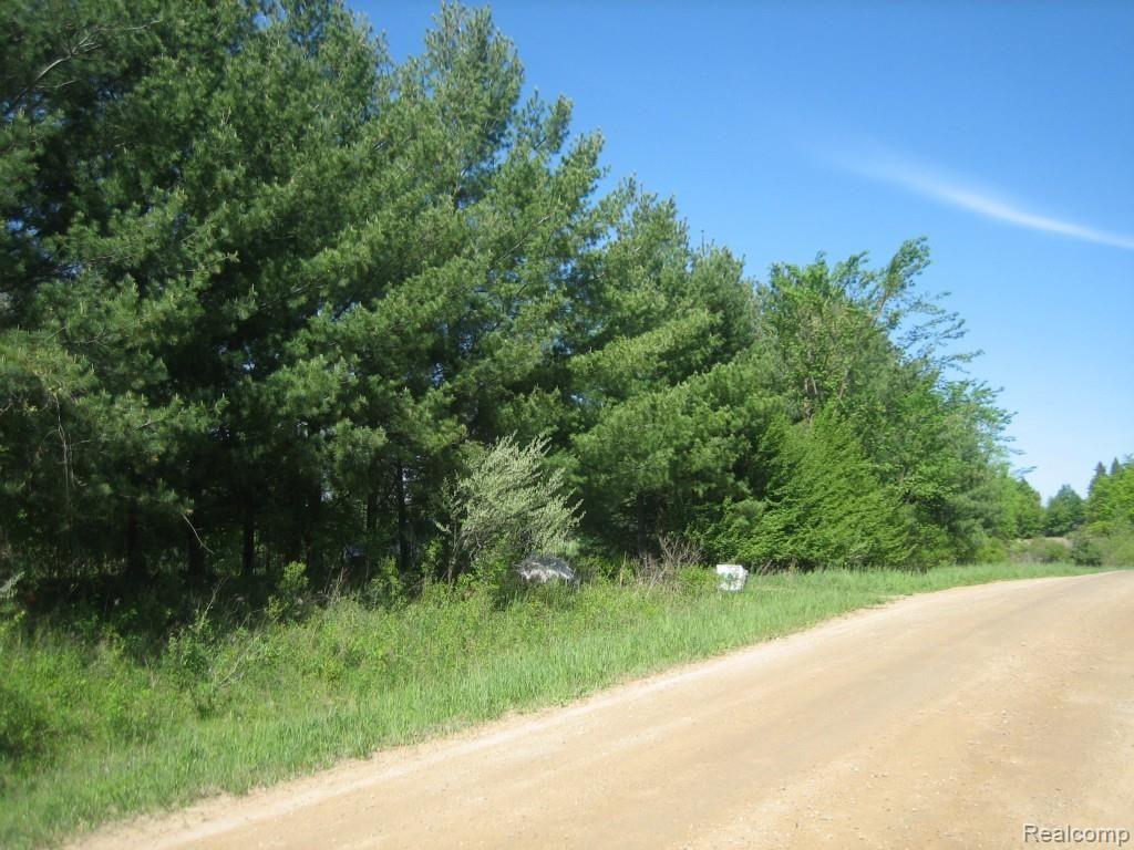 0 Lothrop Road Imlay City, MI 48444 - Photo 3 of 9