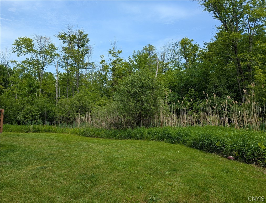 55 Castor Road Pulaski, NY 13142 - Photo 14 of 15