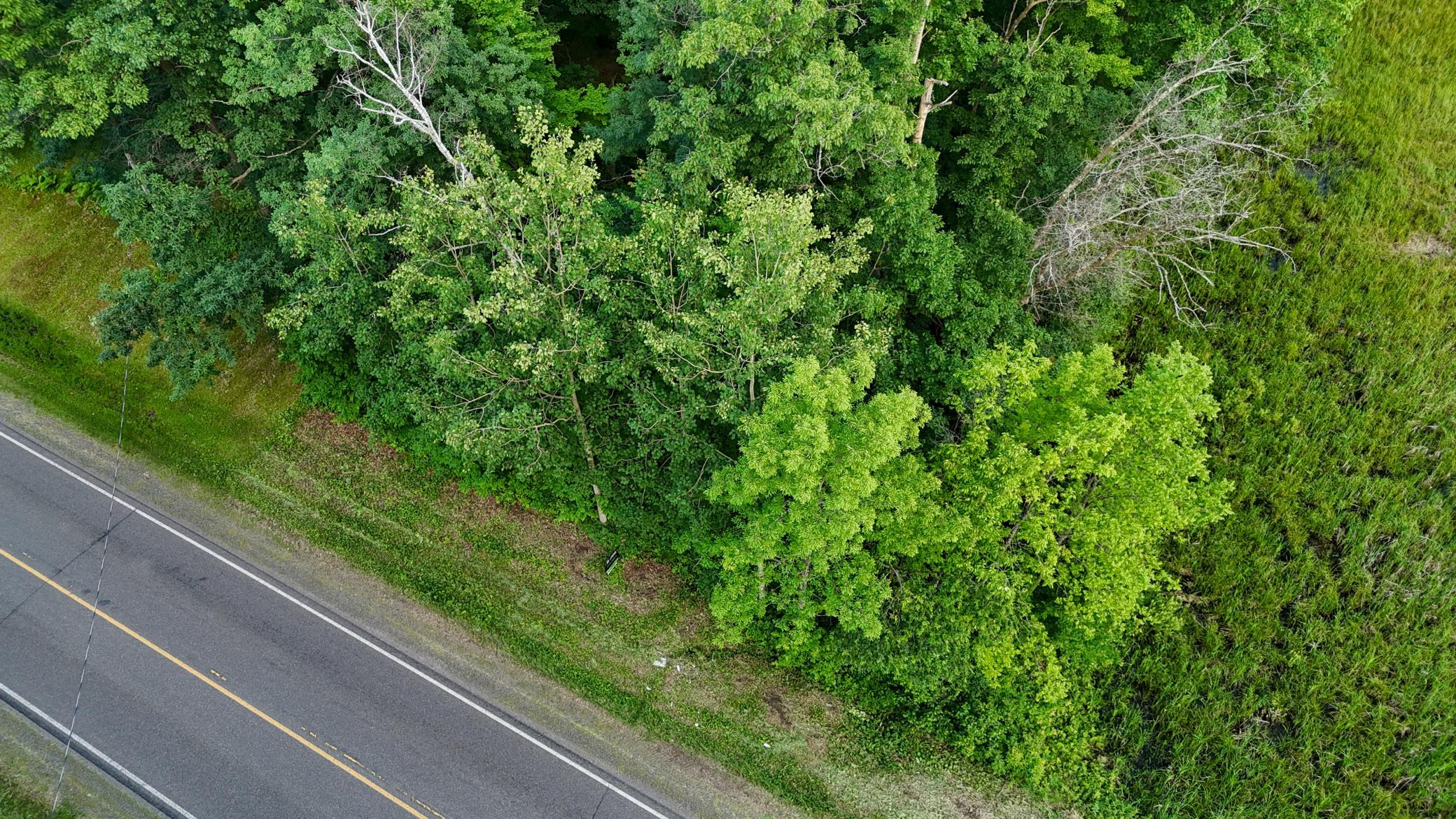 Tbd County Rd G Comstock, WI 54826 - Photo 13 of 19