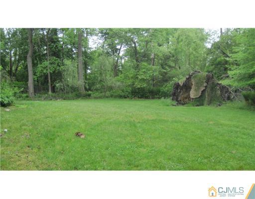1565 Englishtown Road Old Bridge, NJ 08857 - Photo 11 of 11 a open area with trees in the background